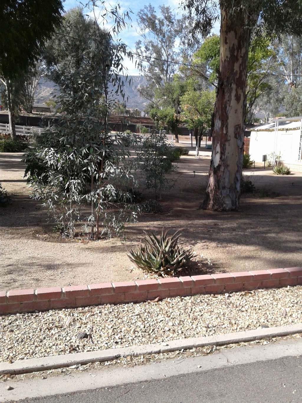 Casa De Moble Rv Park | 32383 Corydon Rd, Lake Elsinore, CA 92530, USA | Phone: (951) 674-1987