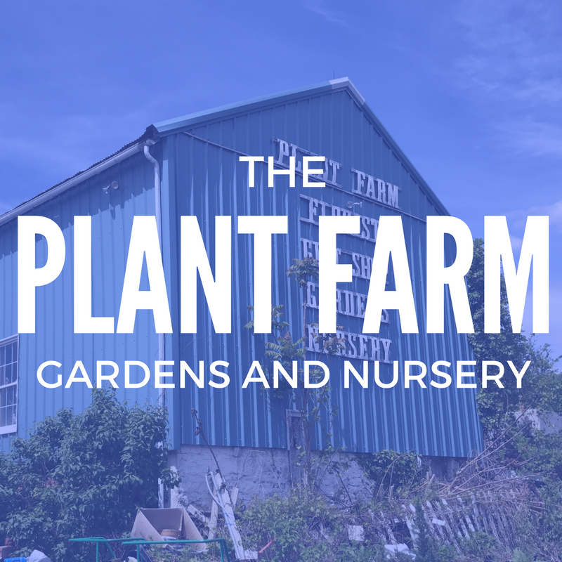 Plant Farm Gardens & Nursery | 2306 NJ-57, Washington, NJ 07882, USA | Phone: (908) 689-0430