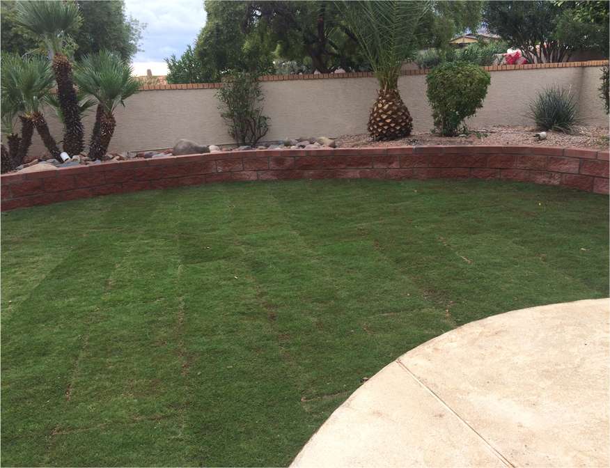 A & V Landscaping | 2225 E Nancy Ln, Phoenix, AZ 85042, USA | Phone: (602) 828-4569