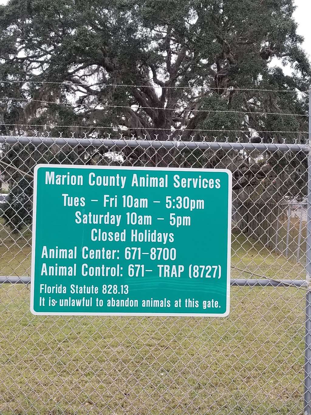 Marion County Animal Center | 5701 SE 66th St, Ocala, FL 34480, USA | Phone: (352) 671-8700