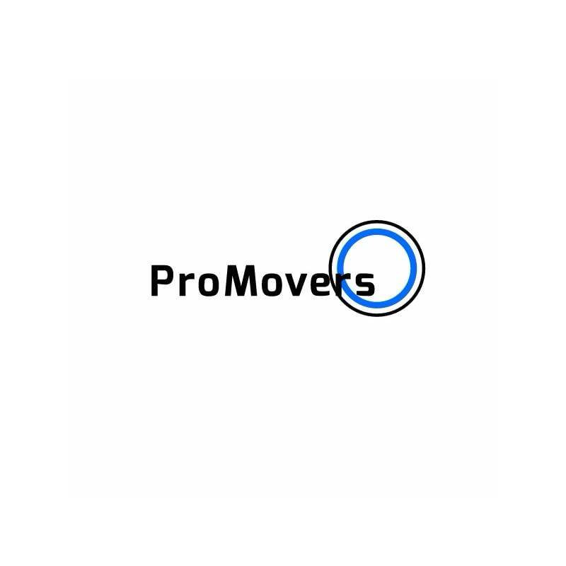 Pro Movers Miami | 475 Brickell Ave, Miami, FL 33131, United States | Phone: (305) 707-7007