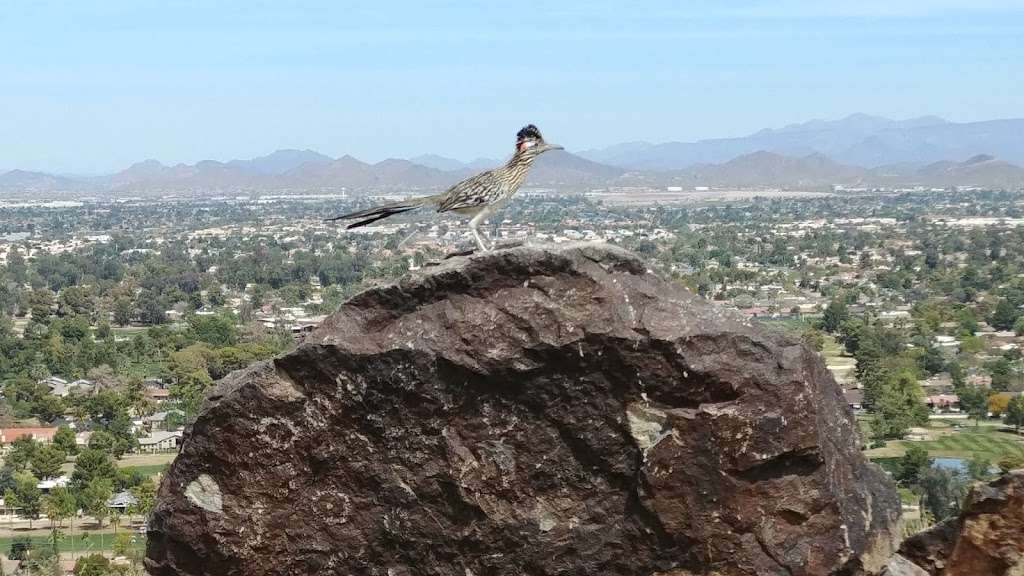Shaw Butte Trail | 12898 N Central Ave, Phoenix, AZ 85022, USA