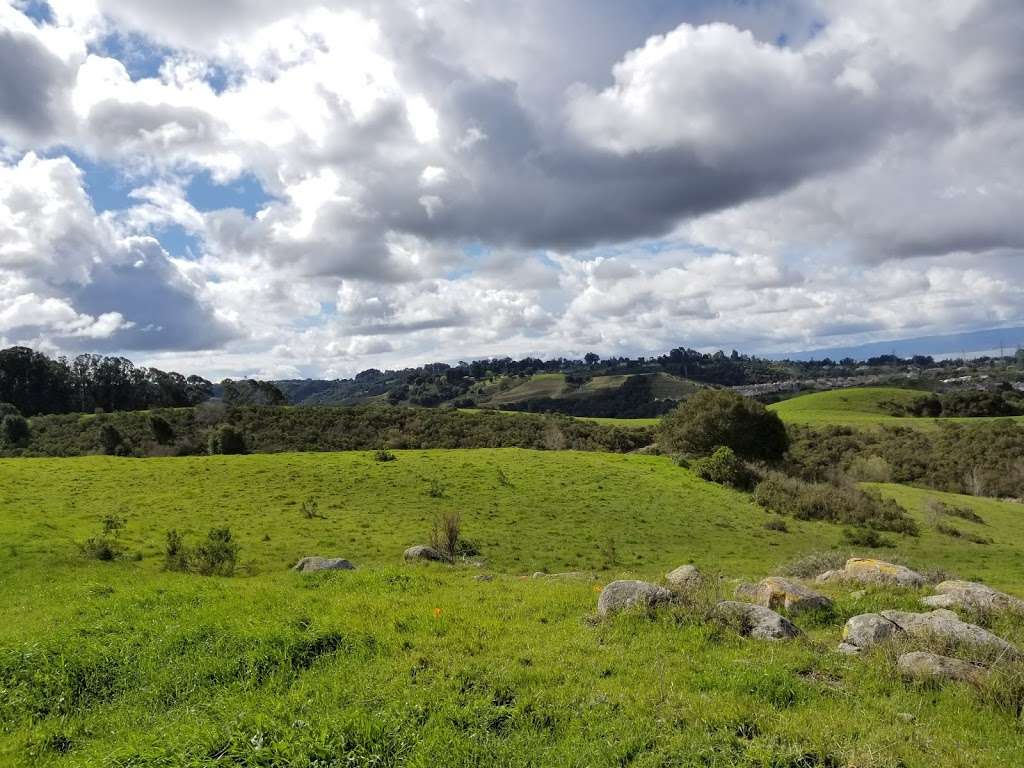 Five Canyons Open Space | 5909 Gold Creek Dr, Castro Valley, CA 94552, USA | Phone: (510) 544-3073