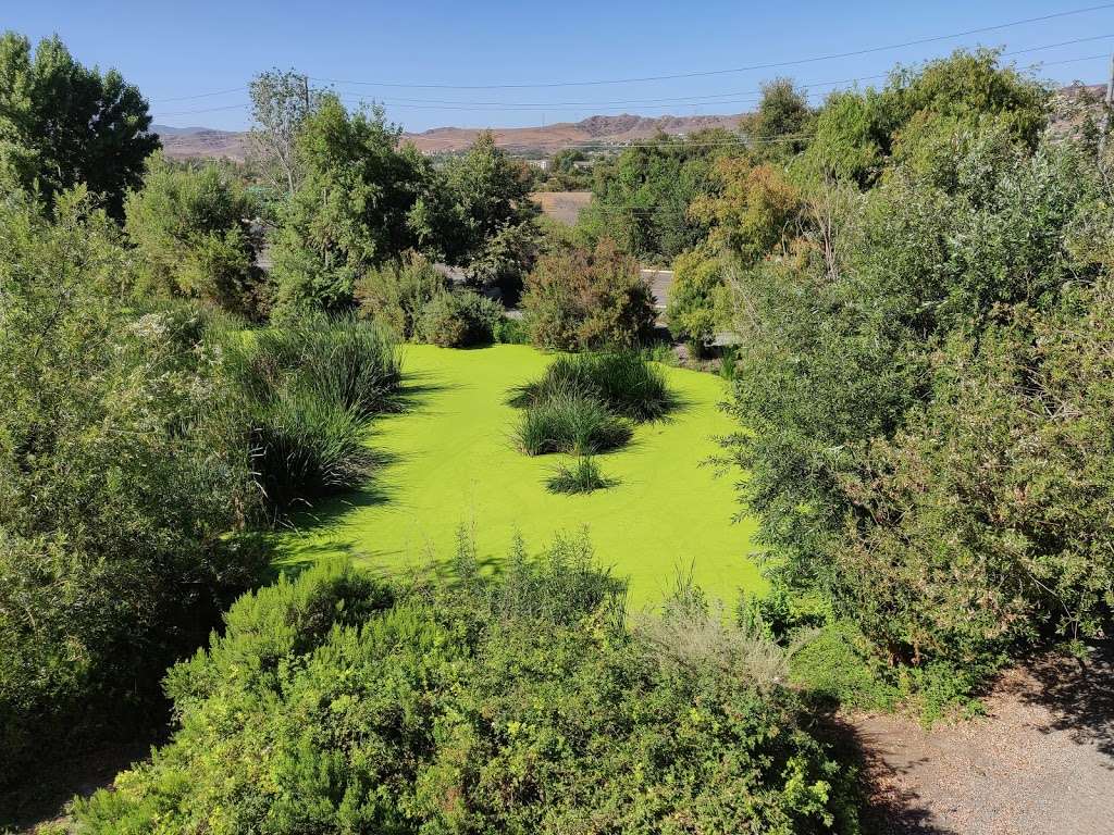 Chino Creek Wetlands and Educational Park | 5899 Kimball Ave, Chino, CA 91708, USA | Phone: (909) 993-1600