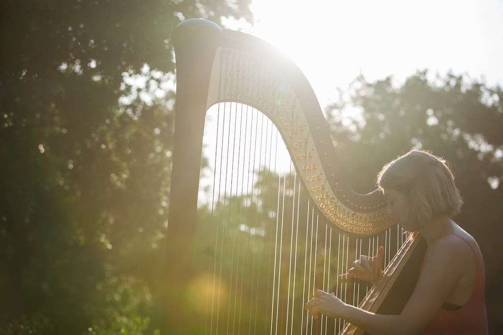 Stephanie Gustafson, Houston Harpist | 1135 Walling St, Houston, TX 77009, USA | Phone: (847) 254-0419
