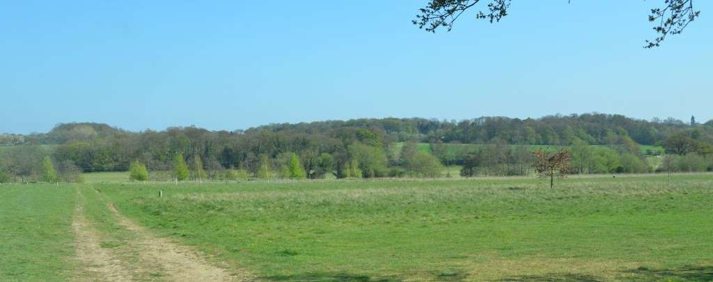 Rickneys Gundog Training Ground in Hertfordshire | Rickneys Lodge, Chapmore End SG12 0HD, UK | Phone: 07887 684119