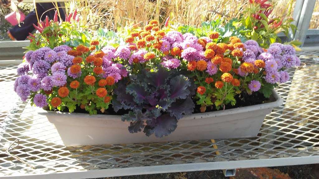 Hoffman Garden Center | 30699 US-12, Volo, IL 60073, USA | Phone: (815) 344-1990