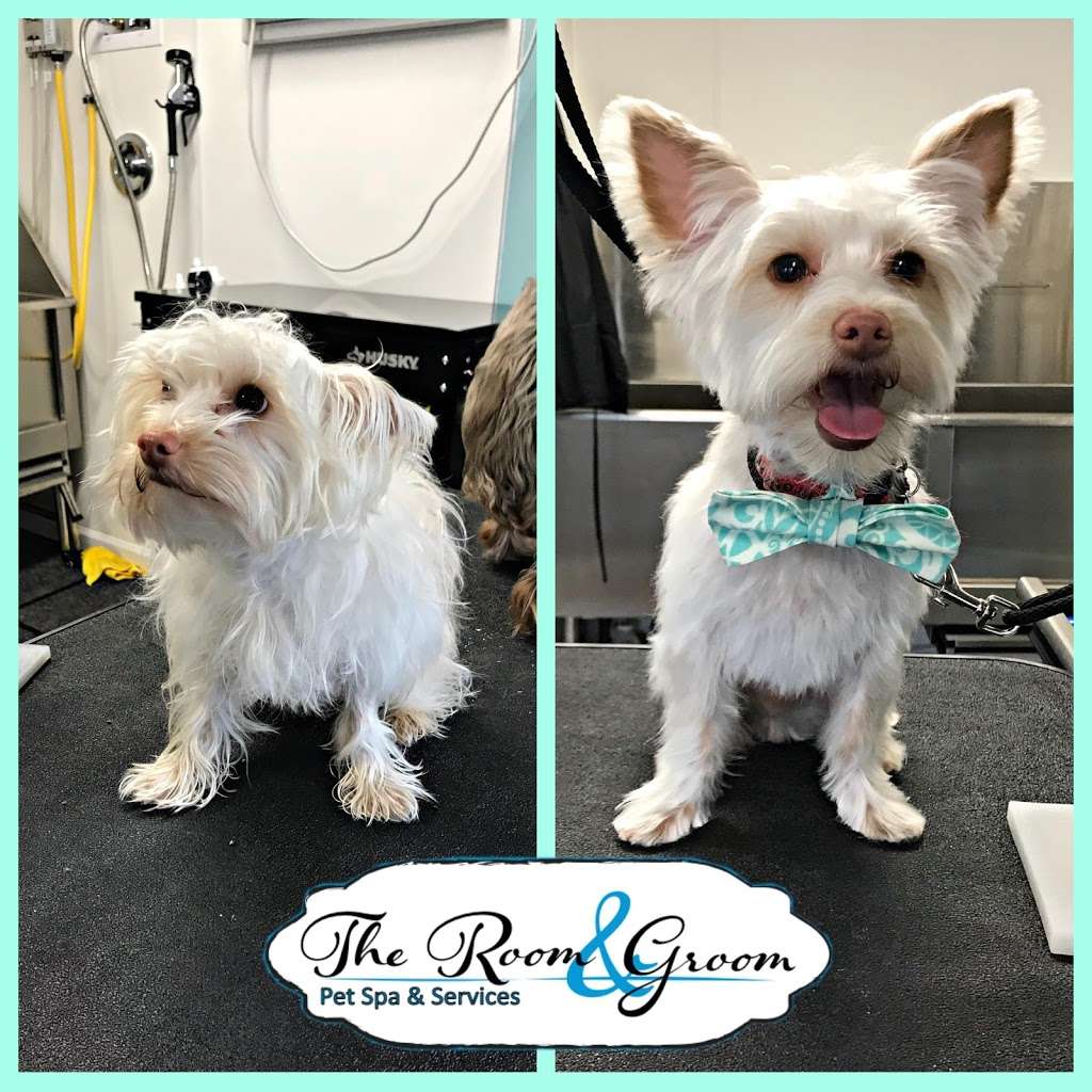 The Room & Groom, Pet Spa & Services | 2 Linwood Terrace, Caldwell, NJ 07006, USA | Phone: (973) 228-2143