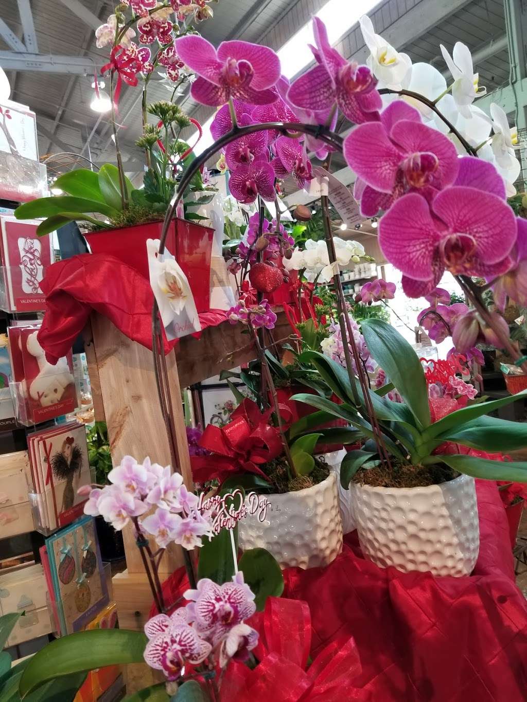 Armstrong Garden Centers | 32382 Del Obispo St, #D, San Juan Capistrano, CA 92675 | Phone: (949) 661-6666