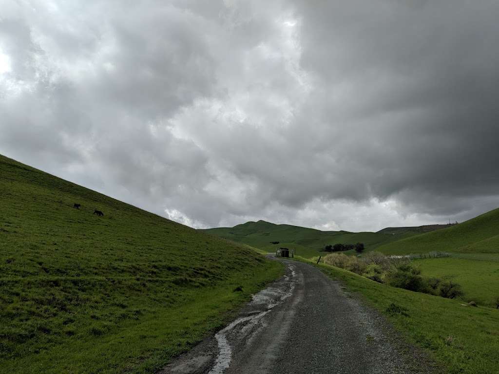 Mountain Bike Trail | Ripple Rouge Rd, Pittsburg, CA 94565, USA