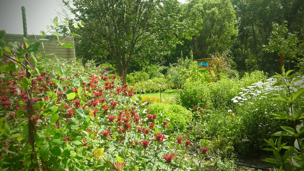 Perennial Point Garden Center | 1158 River Rd, Wilkes-Barre, PA 18702, USA | Phone: (570) 825-0644