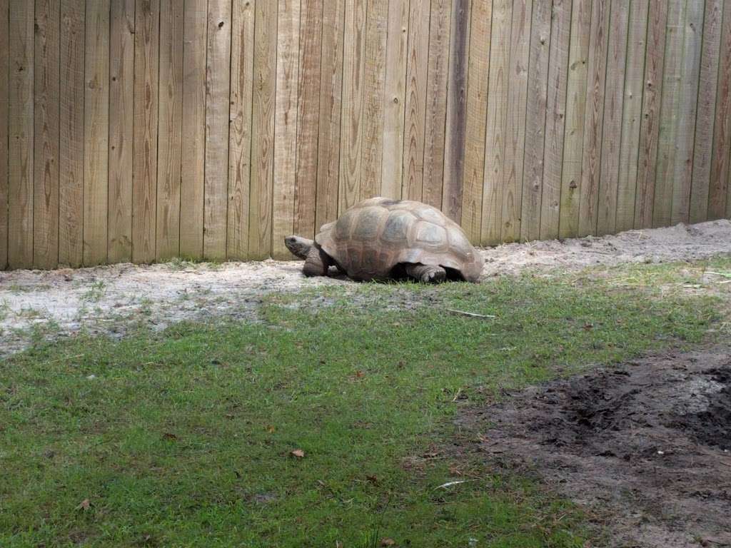 Popcorn Park Zoo | 1 Humane Way, Forked River, NJ 08731, USA | Phone: (609) 693-1900