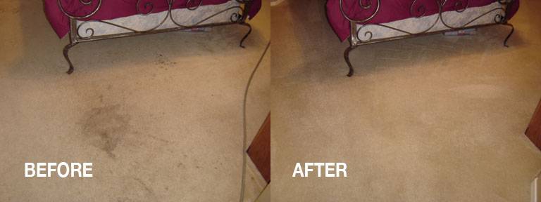 Euless TX Carpet Cleaning | 12101 Trinity Blvd, Euless, TX 76040, USA | Phone: (972) 372-4340