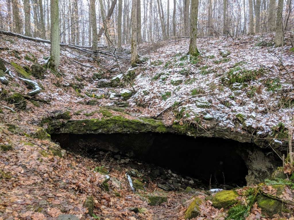 Buckner Cave | W Eller Rd, Bloomington, IN 47403, USA