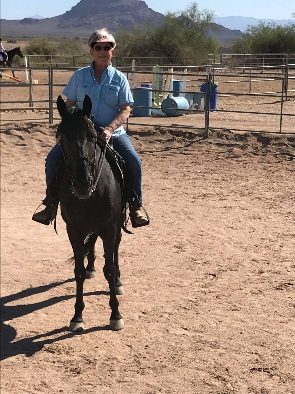 East Valley Equine Practitioners | 14469 E Pecos Rd, Gilbert, AZ 85295 | Phone: (480) 966-0624