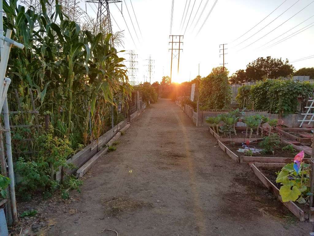 Torrance Community Gardens | 4045 190th St, Torrance, CA 90504 | Phone: (310) 781-7520