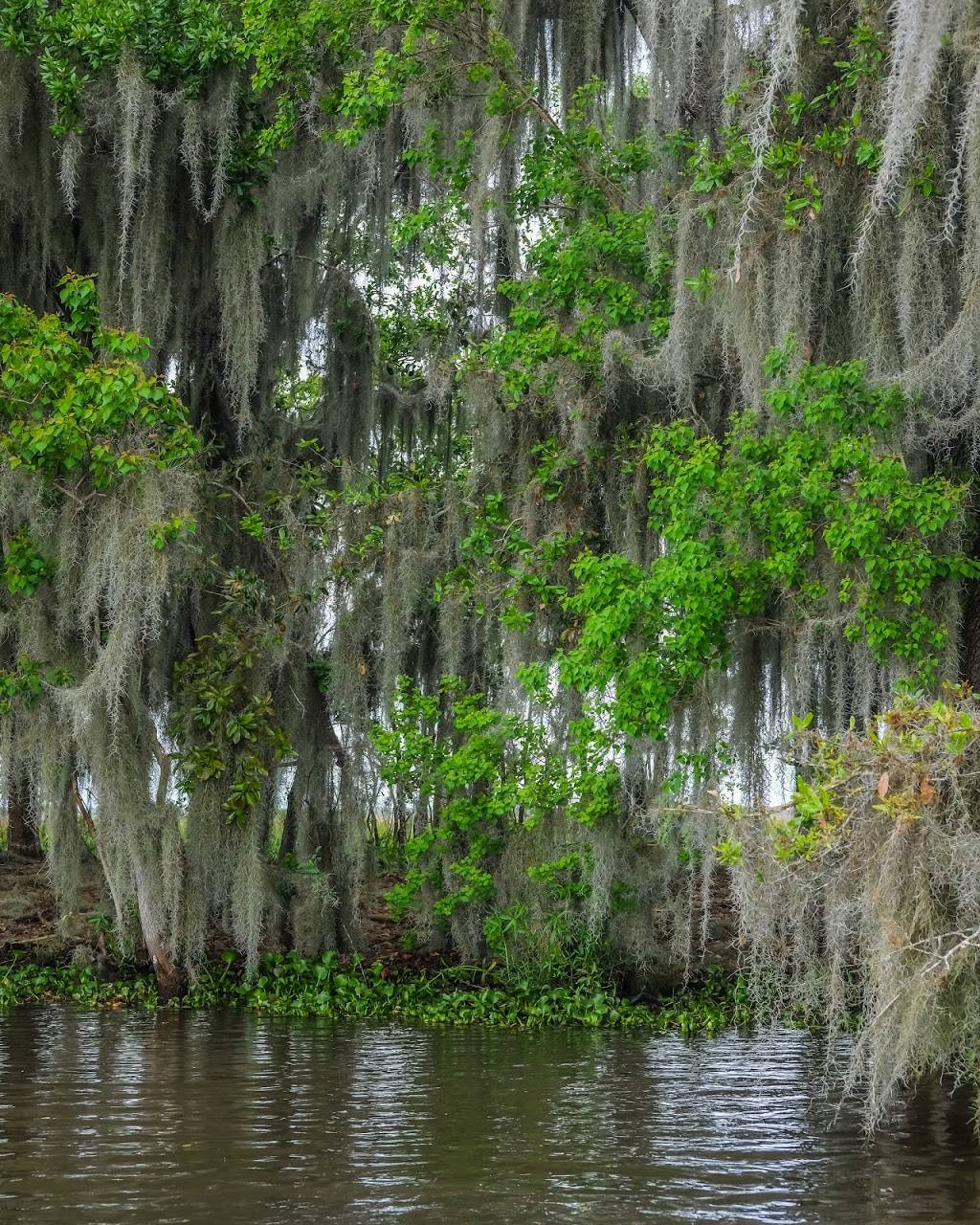 Swamp Tour New Orleans . Pirate Venture. | 4477 Jackie Ln, Jean Lafitte, LA 70067, USA | Phone: (504) 233-5000