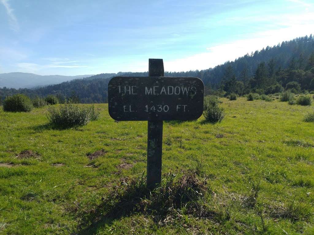 The Meadows | Intersection of Meadow Trail and Wunderlich Park, Bear Gulch Trail, Woodside, CA 94062, USA