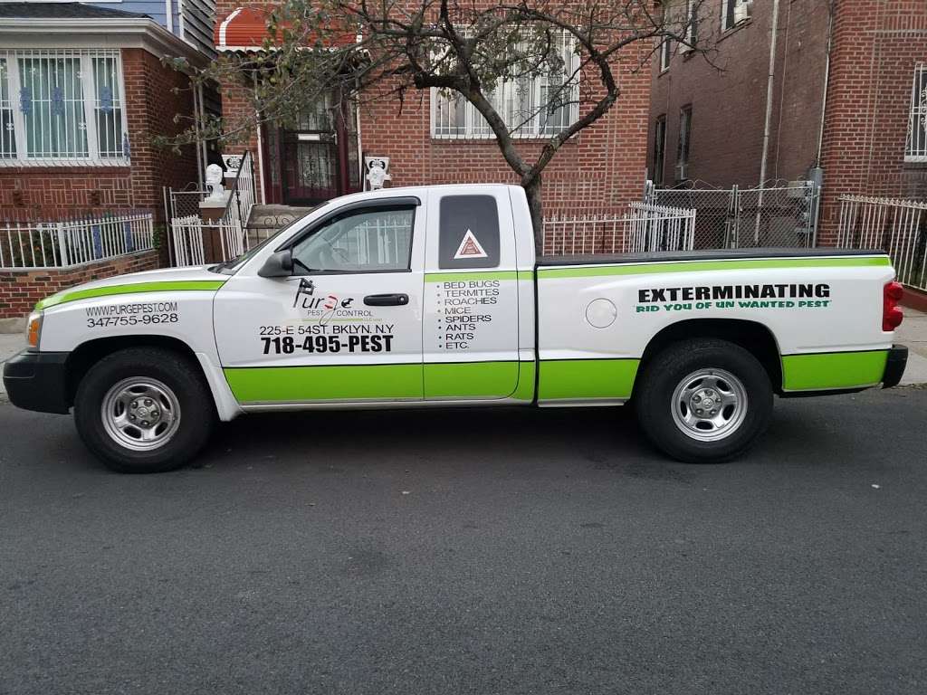 Purge Pest Control LLC | 225 E 54th St, Brooklyn, NY 11203 | Phone: (718) 495-7378