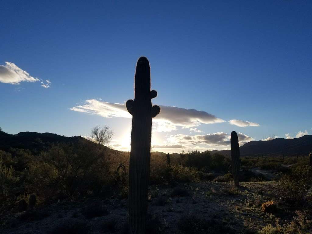 Corona de Loma Trail | Warpaint North, Phoenix, AZ 85042, USA