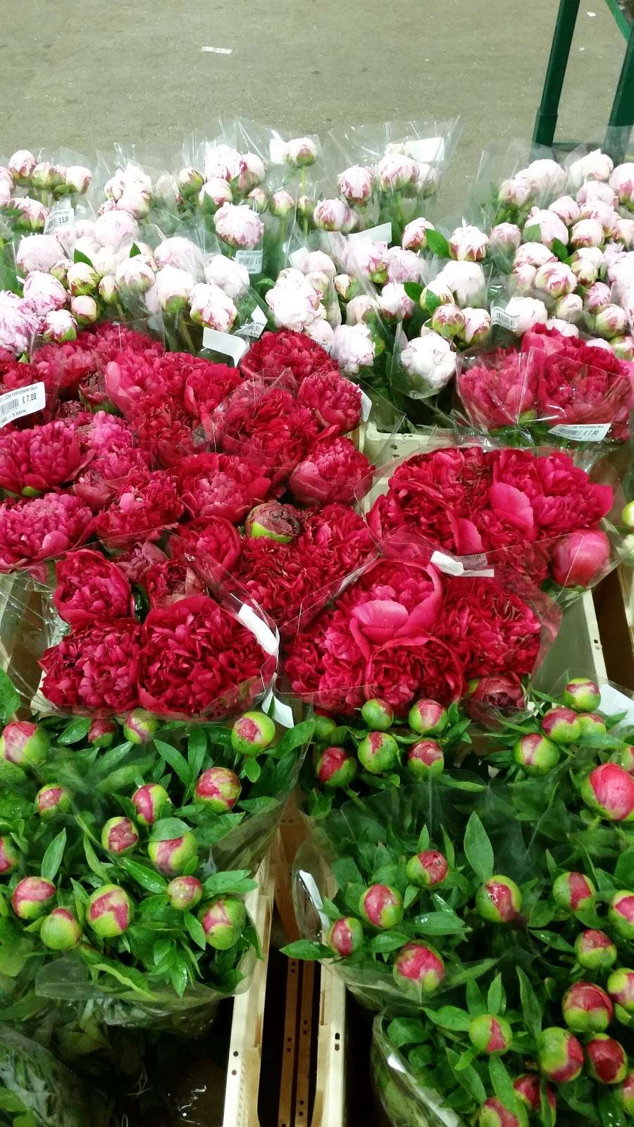 Stems UK Funeral Flowers | M4-5, Flower Market, New Covent Garden Market, London SW8 5EH, UK | Phone: 020 7622 3300