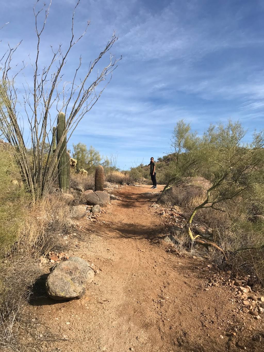 Darren Kristin Trail | Darren Kristin Trail,, Fountain Hills, AZ 85268, USA