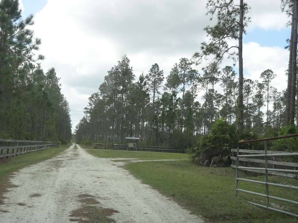 Lake George Wildlife Management Area | Pierson, FL 32180, USA