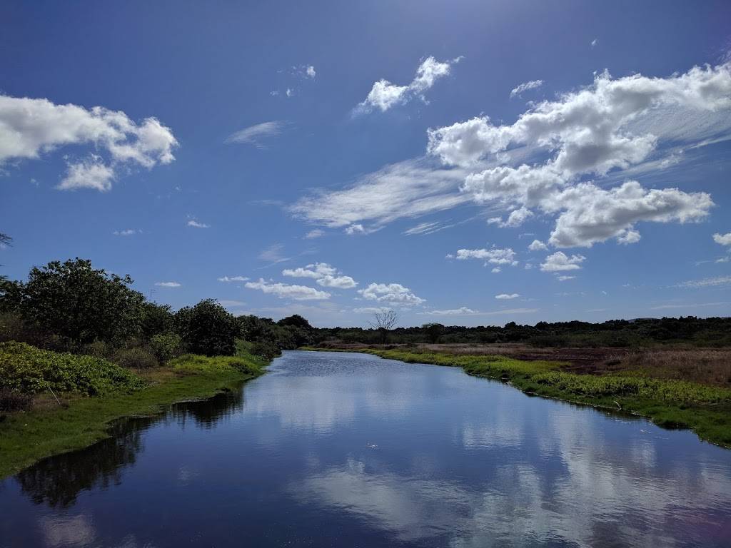 Pouhala Marsh Wildlife Sanctuary | Waipahu, HI 96797, USA | Phone: (808) 973-9777