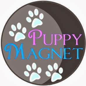 Puppy Magnet | Irvine, CA 92603, USA | Phone: (949) 278-3078