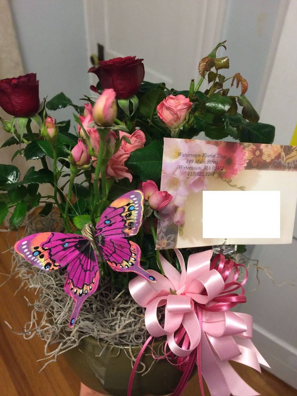 Watertown Florist Shop | 315 Main St, Watertown, MA 02472, USA | Phone: (617) 923-9100