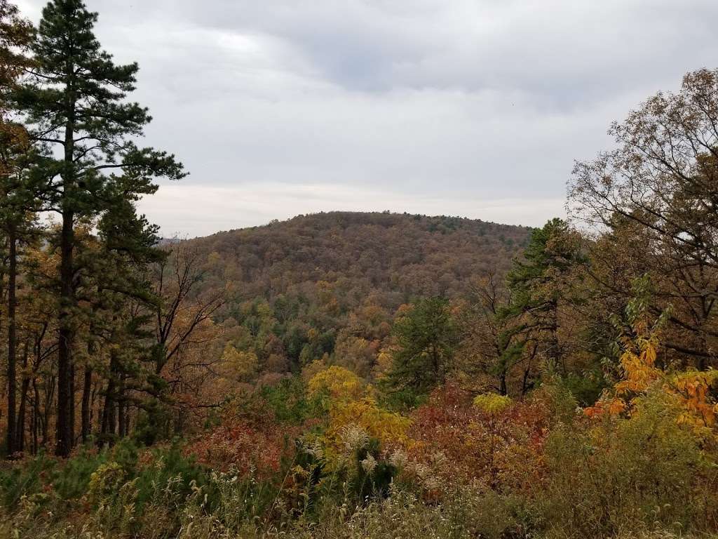 Michaux State Forest | 10099 Lincoln Way E, Fayetteville, PA 17222, USA | Phone: (717) 352-2211