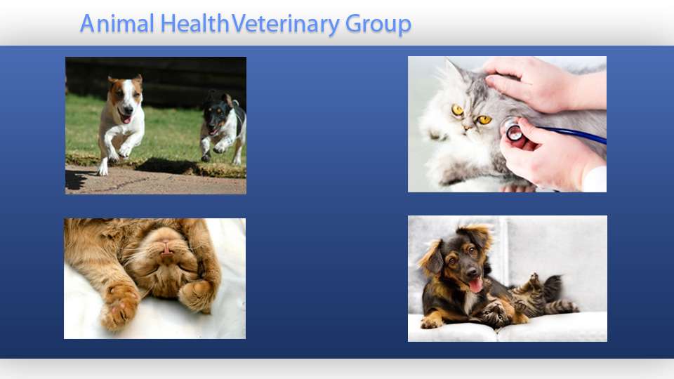 Animal Health Group on Castleton Ave | 710 Castleton Ave, Staten Island, NY 10310, USA | Phone: (718) 448-3680