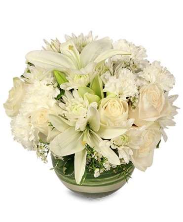 Belleview Florist Inc | 10693 SE 58th Ave, Belleview, FL 34420, United States | Phone: (352) 245-3857