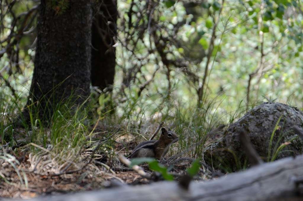 Hole-in-the-Wall | Allenspark, CO 80510, USA