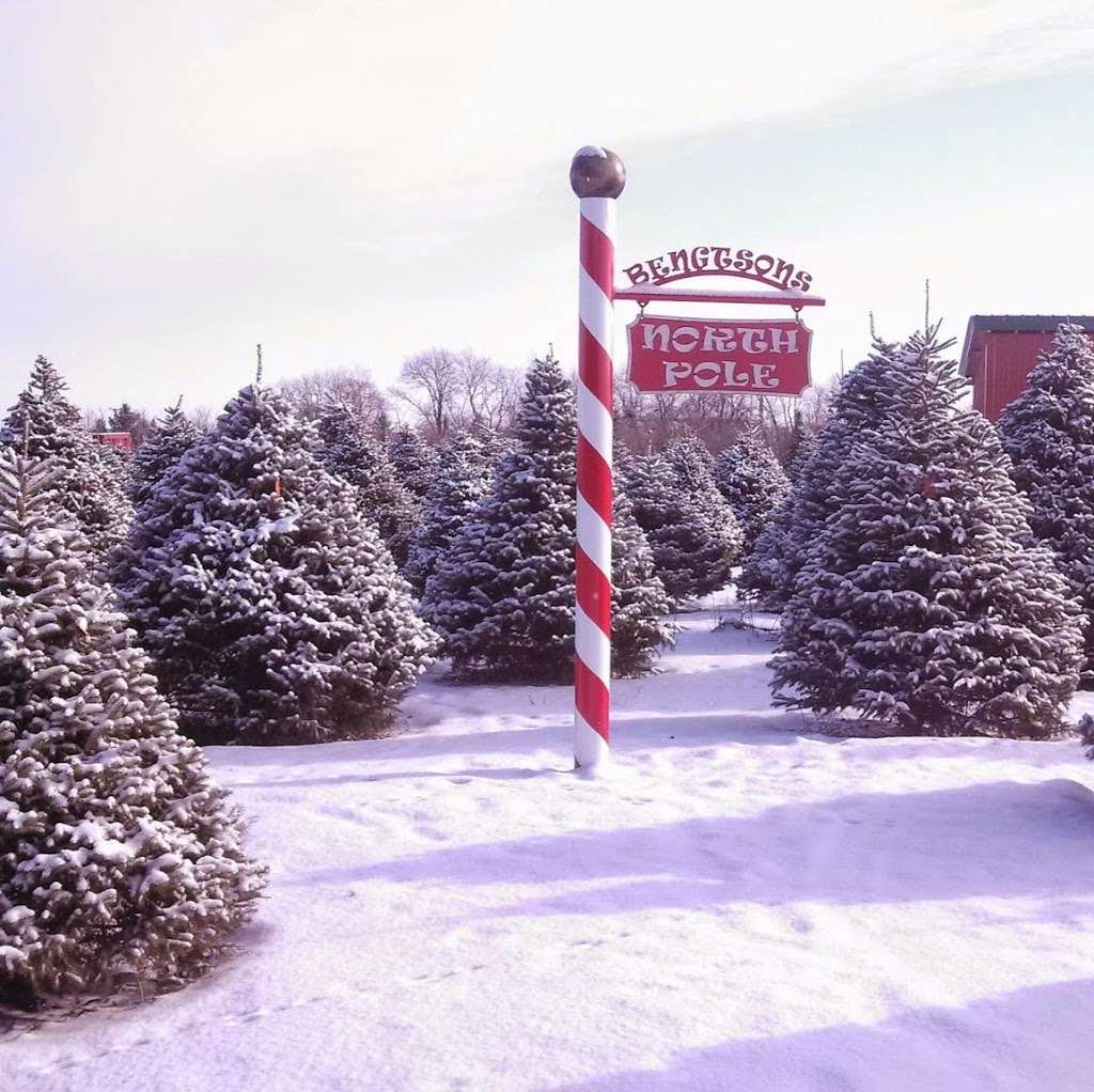 Bengtson Christmas Tree Farm | 10919 W Wilmington Rd, Peotone, IL 60468, USA | Phone: (877) 640-2911