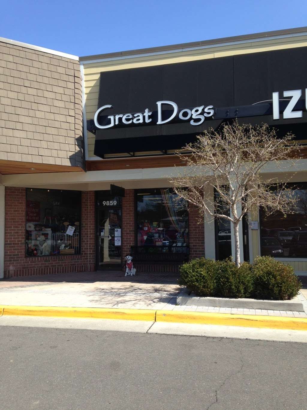 Great Dogs of Great Falls | 9859 Georgetown Pike, Great Falls, VA 22066 | Phone: (703) 759-3601