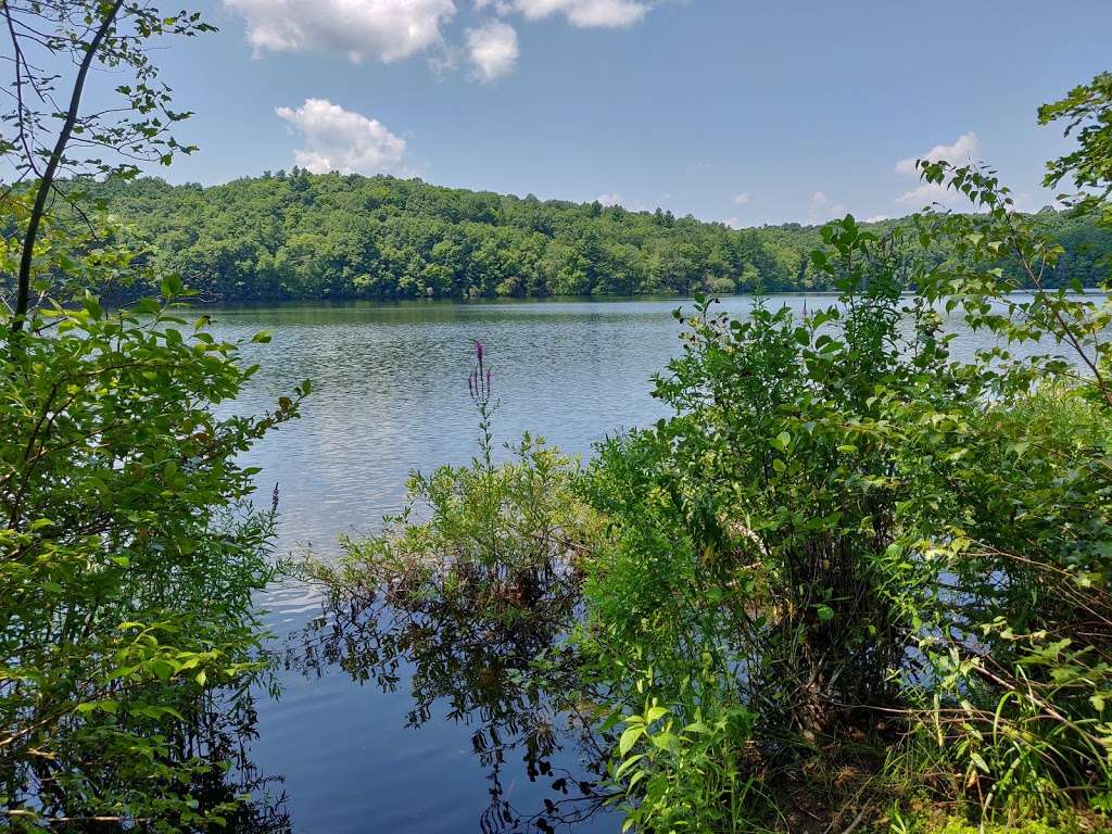 Gates Pond Reservoir Loop Trail | 99 Taylor Rd, Berlin, MA 01503, USA