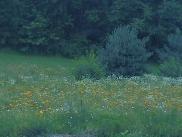 James Gregory, LICSW | E Liberty St & N Seminary St, Charles Town, WV 25414, USA | Phone: (304) 728-8282