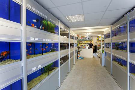 Abacus Aquatics | 168A Halfway St, Sidcup DA15 8DJ, UK | Phone: 020 8302 8000