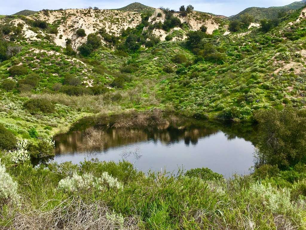 Whiting Ranch Wilderness Park | 27901 Glenn Ranch Rd, Trabuco Canyon, CA 92679 | Phone: (949) 923-2245