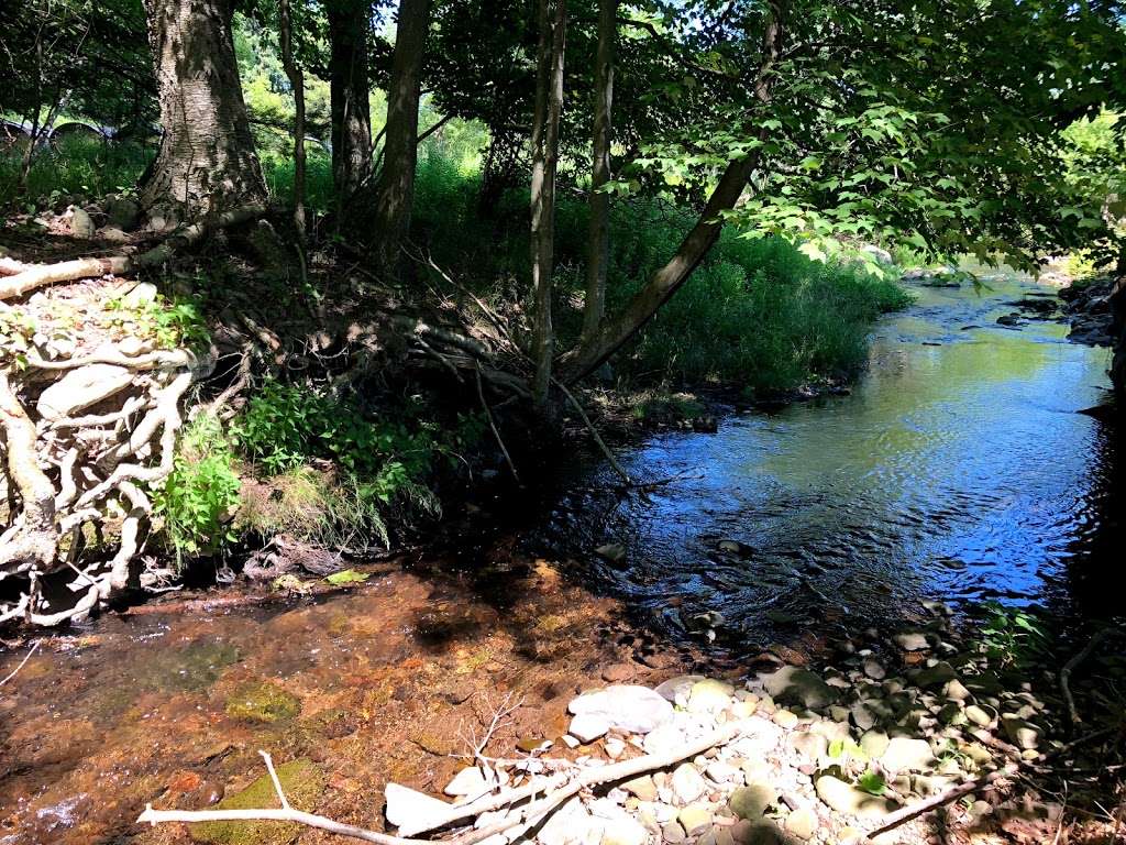 Woodland Trail - Mount Airy Trail Network | Woodland Rd, Mt Pocono, PA 18344, USA