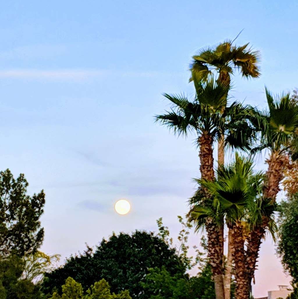 Crossed Arrows Park | 6102 E Acoma Rd, Scottsdale, AZ 85254, USA | Phone: (602) 262-6696