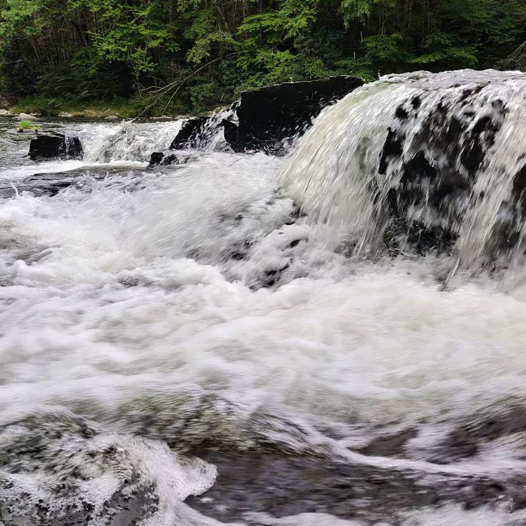 Neversink Gorge Trails | 754 Katrina Falls Rd, Rock Hill, NY 12775, USA