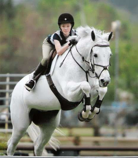 Scott Lico Stables | 11700 Little Tujunga Canyon Rd, Lake View Terrace, CA 91342, USA | Phone: (805) 750-8927