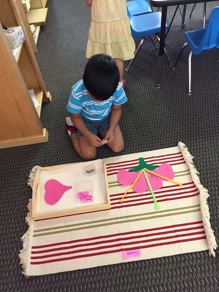 Turning Point Montessori School | 6610 Shoup Ave, West Hills, CA 91307, USA | Phone: (818) 347-2144