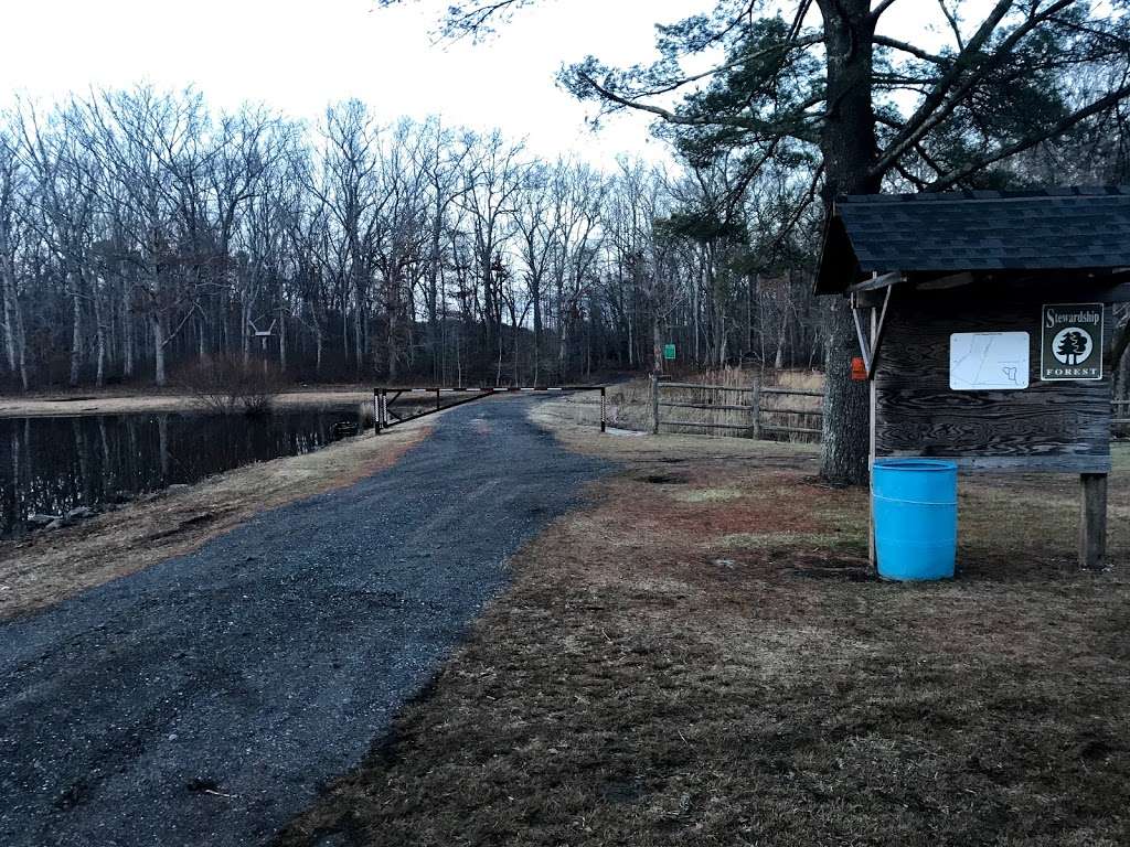 Bear Swamp | 351-, 399 Maxim Rd, Howell, NJ 07731, USA