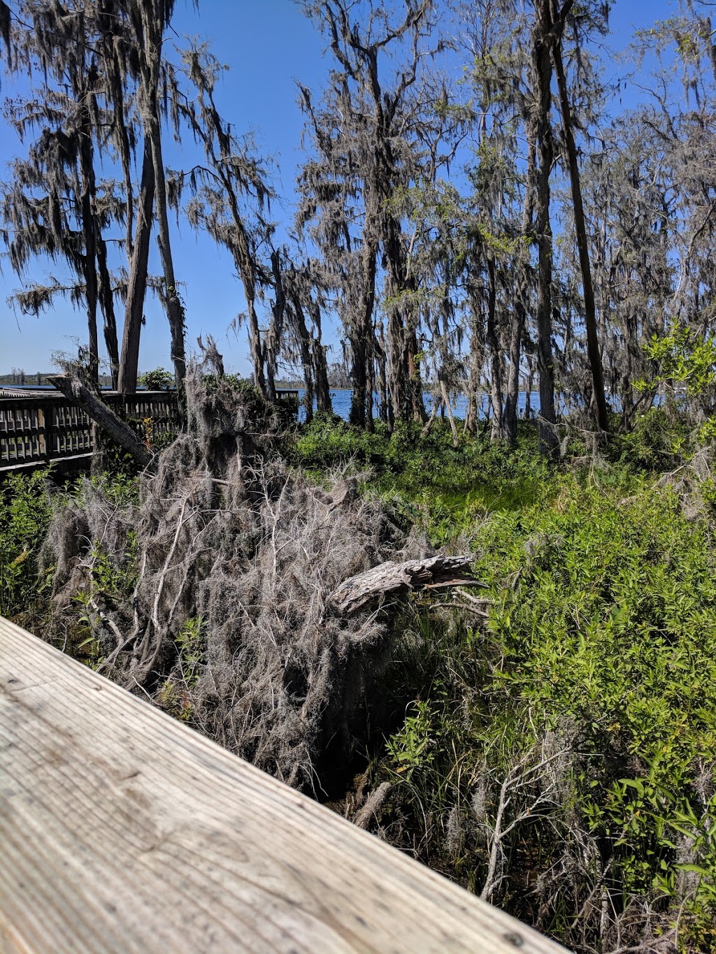 Park Palatlakaha Playground | Clermont, FL 34711