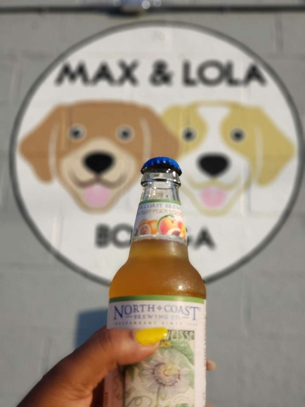 Max & Lola Bodega | 1501 S Mint St, Charlotte, NC 28203 | Phone: (980) 237-7809