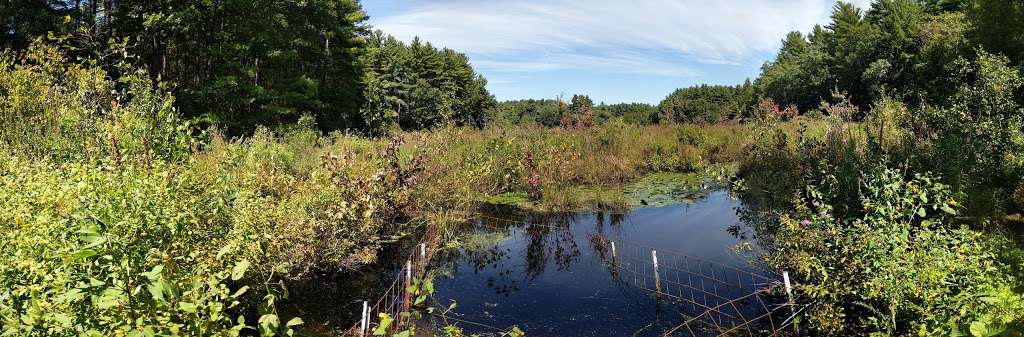 Great Brook Farm State Park | 165 North Rd, Carlisle, MA 01741, USA | Phone: (978) 369-6312