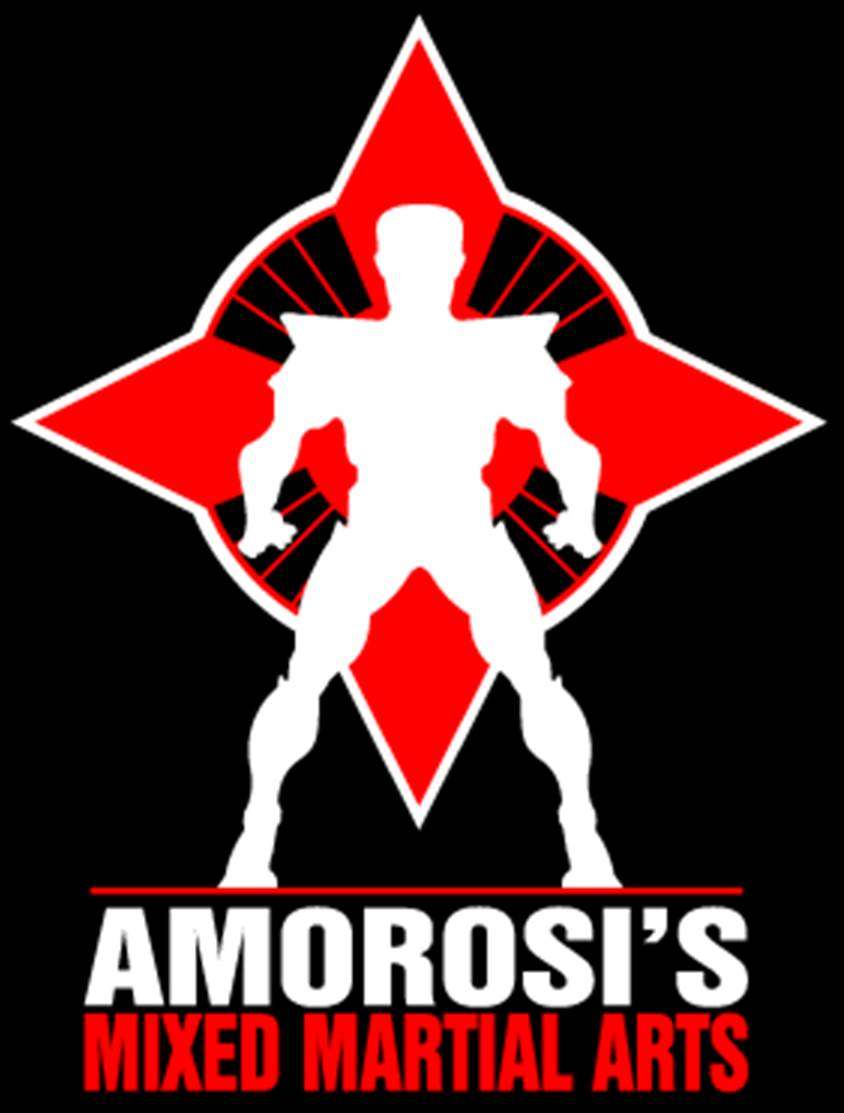 Amorosi Martial-Arts Organization | 615 S Livingston Ave Suite 10-5, Livingston, NJ 07039, USA | Phone: (973) 533-9112